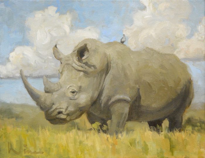 Rhinoceros Bird original fine art oil painting